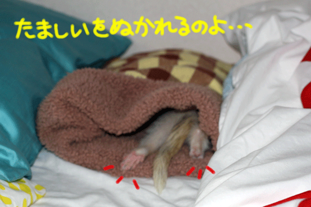 141005f.gif
