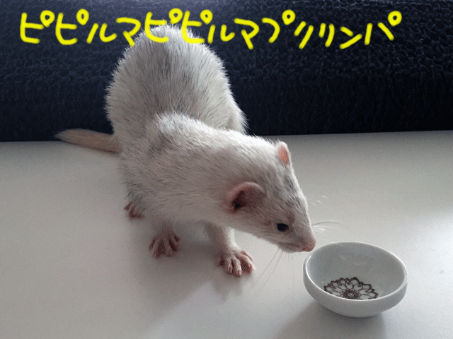 141006c.gif