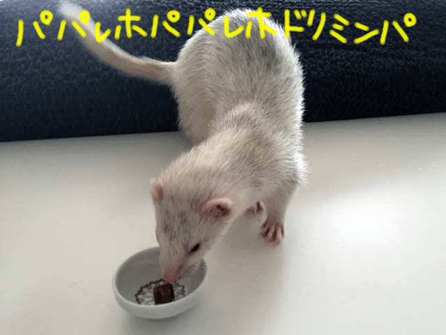 141006d.gif