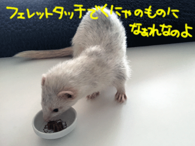 141006e.gif
