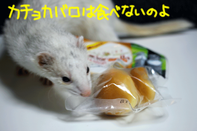 141007a.gif