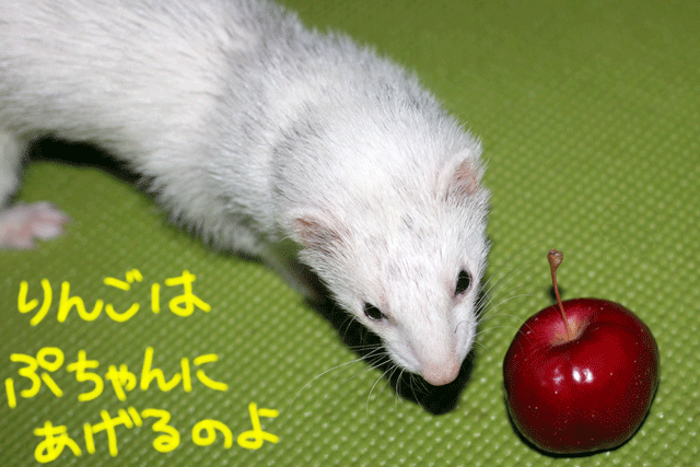 141007b.gif