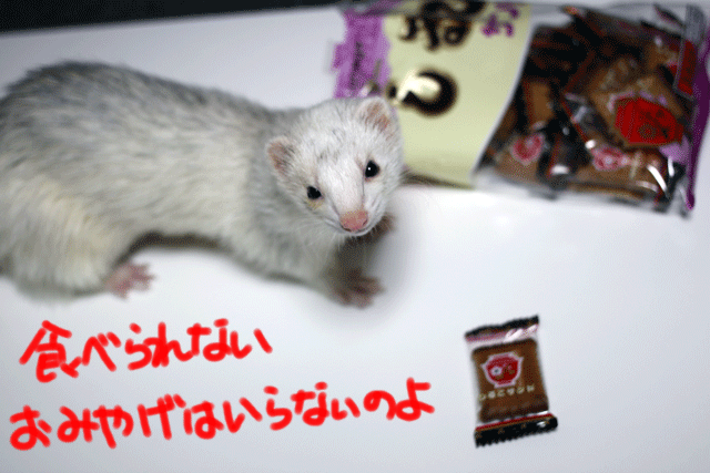 141007f.gif