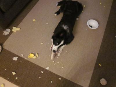 IMG_0944_convert_20120424131826.jpg