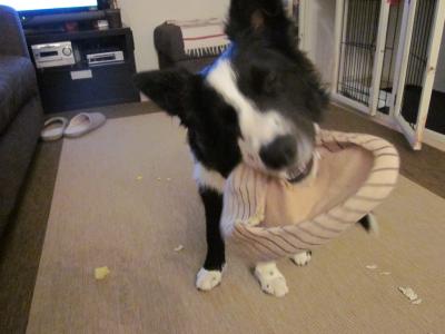 IMG_0948_convert_20120424132157.jpg
