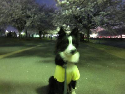IMG_1615_convert_20120411114759.jpg