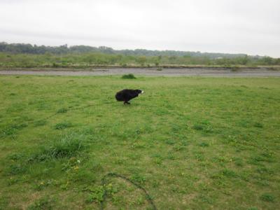IMG_2099_convert_20120429215306.jpg