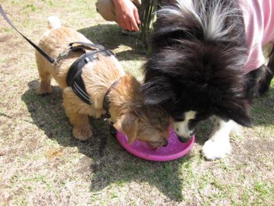 IMG_2143_convert_20120429220057.jpg
