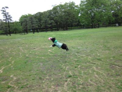 IMG_2203_convert_20120503142611.jpg