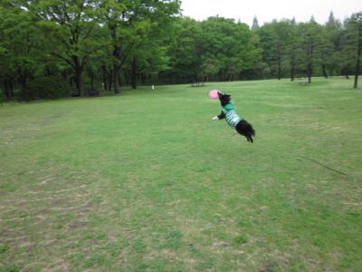 IMG_2206_convert_20120503142653.jpg