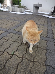 20140210.jpg
