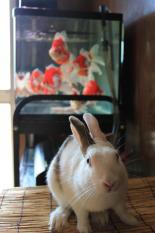 IMG_3107-kiss.jpg