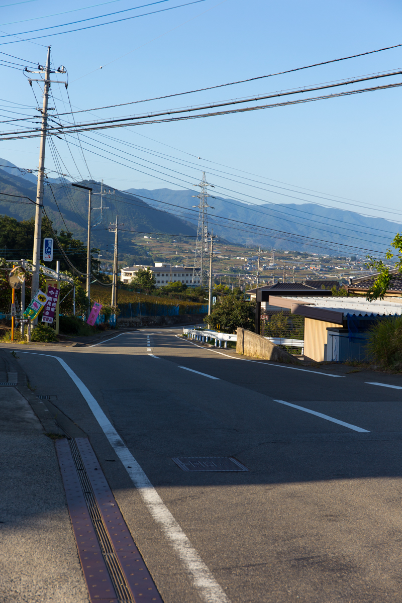 フルーツマラソンコース試走(5)