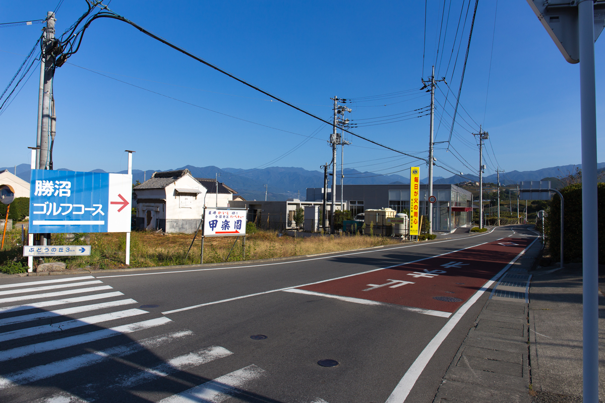 フルーツマラソンコース試走(8)