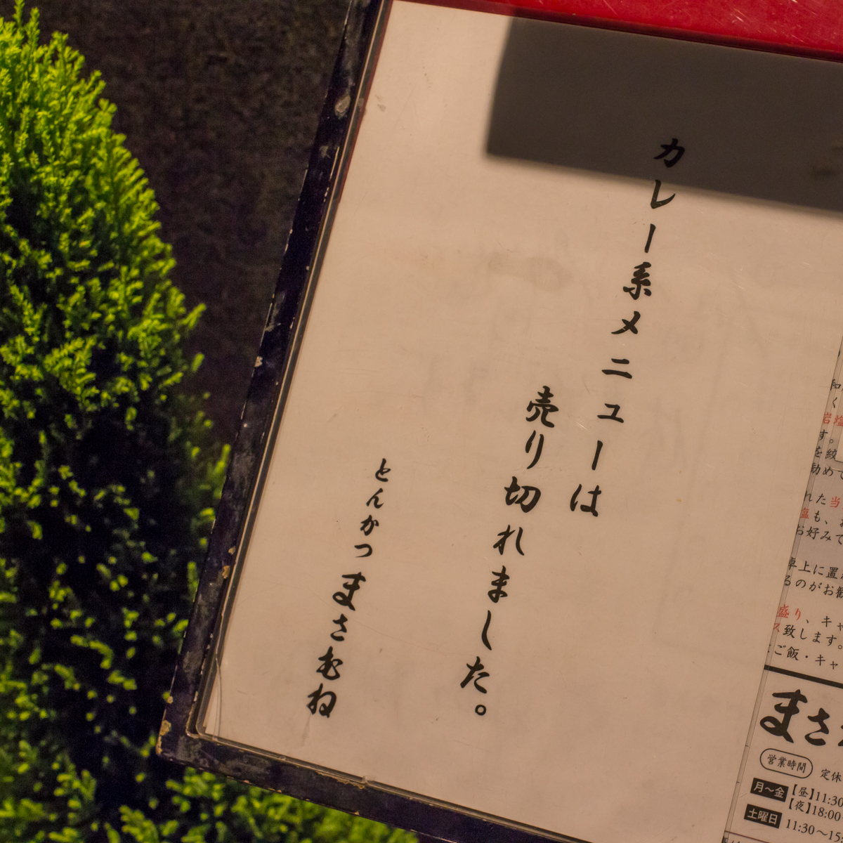 赤坂まさむね&夜の散歩(8)