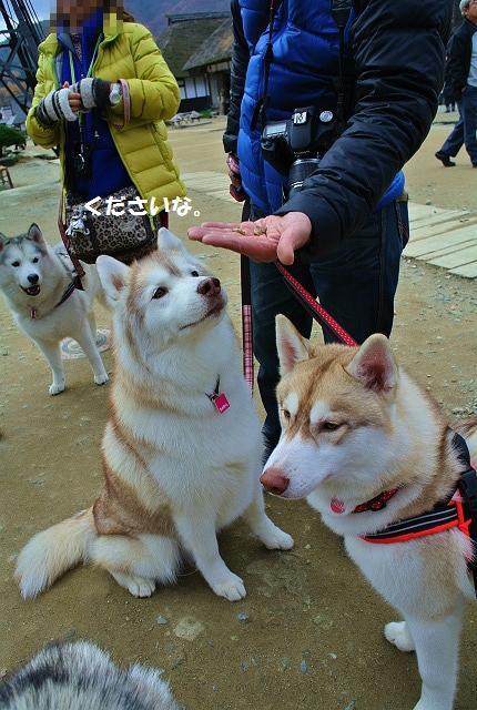 DSC_5792_20131130130106857.jpg