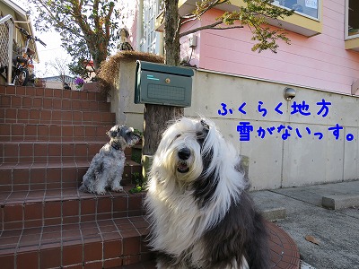 14021601.jpg