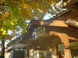 JR奈良線 新田駅の大銀杏 (2)