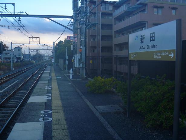 JR奈良線 新田駅の大銀杏 (13)