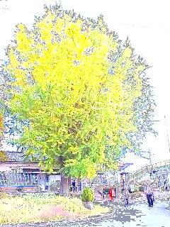 新田駅 銀杏 イラスト風