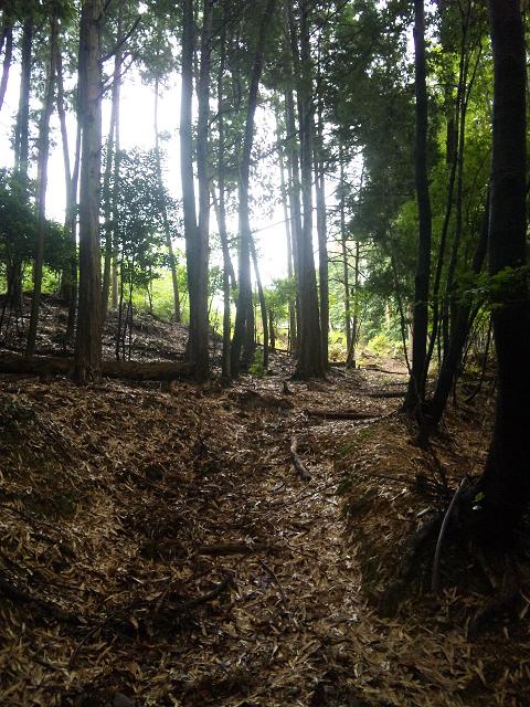 9_20111028172006.jpg