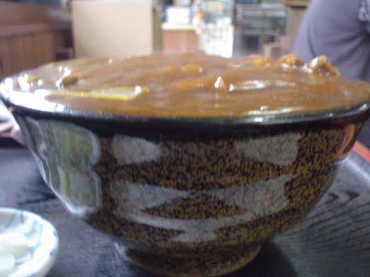 成田の手打ちうどんおぴっぴ大盛りカレー南蛮うどん010