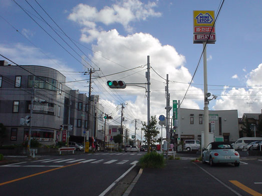 おぴっぴうどん成田山初詣参拝帰りカレーうどん027