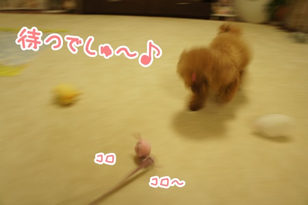 027_20140917003839744.jpg