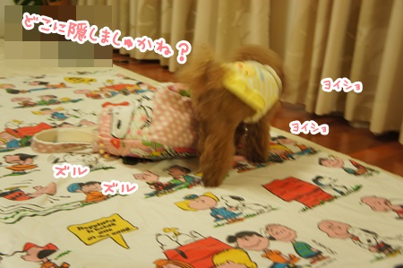 029_2014091918312036f.jpg