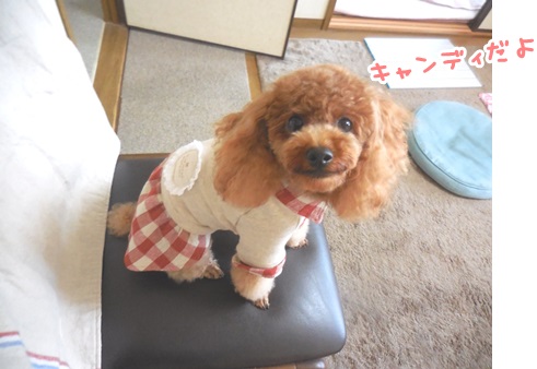 写真 5