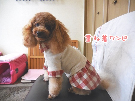 写真 4