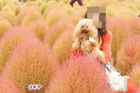 223.jpg