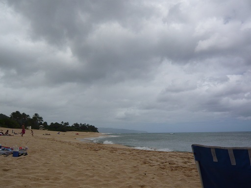 P1050534.jpg