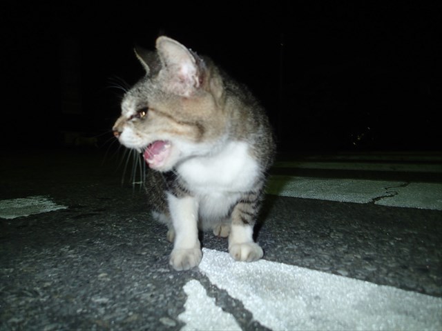 P9140185_R.jpg