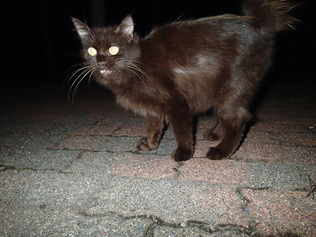P9140207_R.jpg
