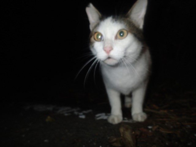 P9140280_R.jpg