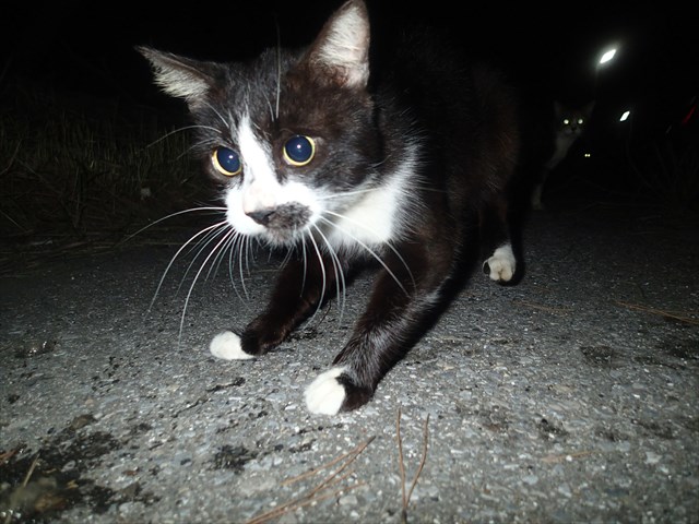 P9140310_R.jpg