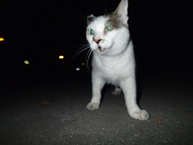 P9190143_R.jpg