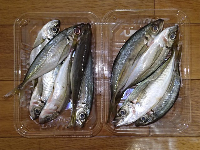 P9220486_R.jpg
