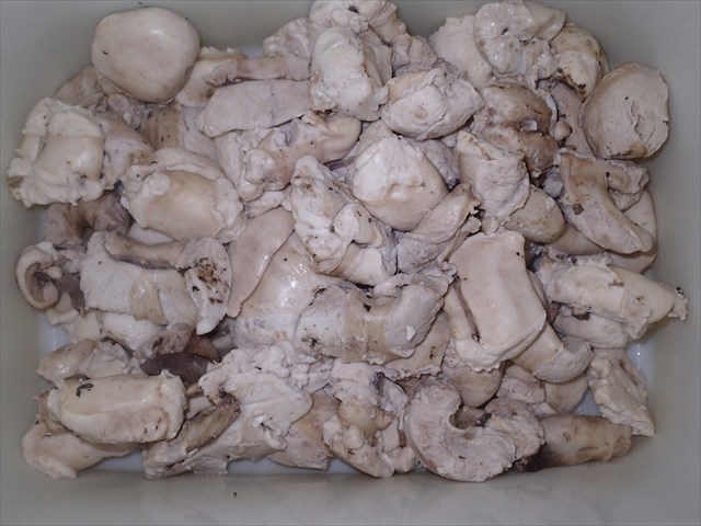P9230109_R.jpg