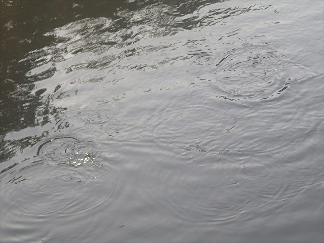 P9260028_R_20140927123025793.jpg