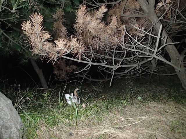 P9280215_R.jpg