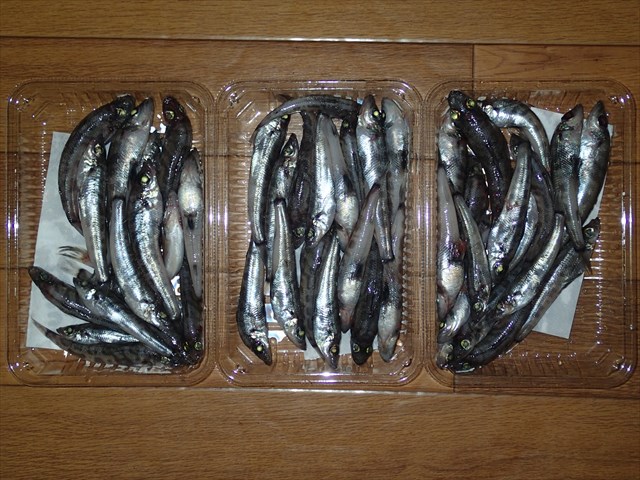 P9290621_R.jpg