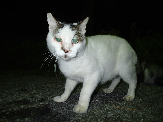 P9300905_R.jpg