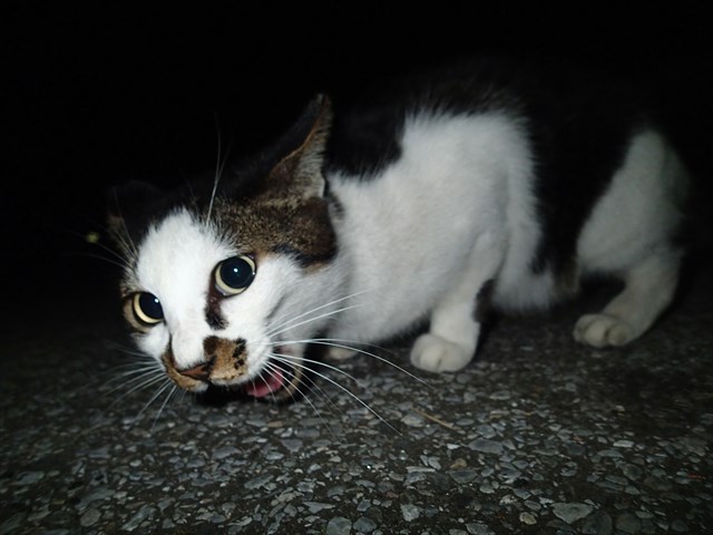 PA020083_R.jpg