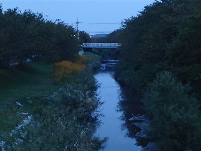 PA040026_R_20141005155109208.jpg
