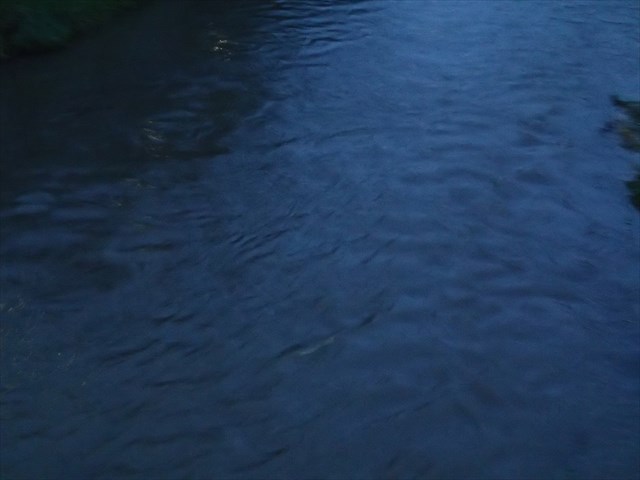 PA050023_R_2014100610581555b.jpg