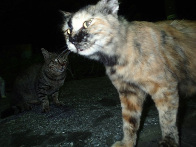 PA050118_R.jpg