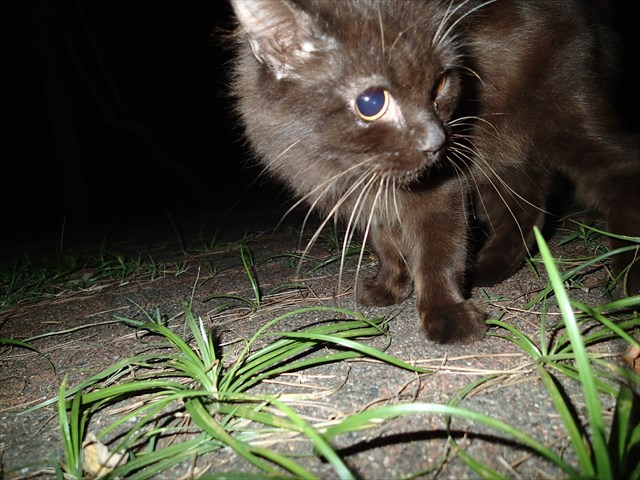 PA050148_R.jpg