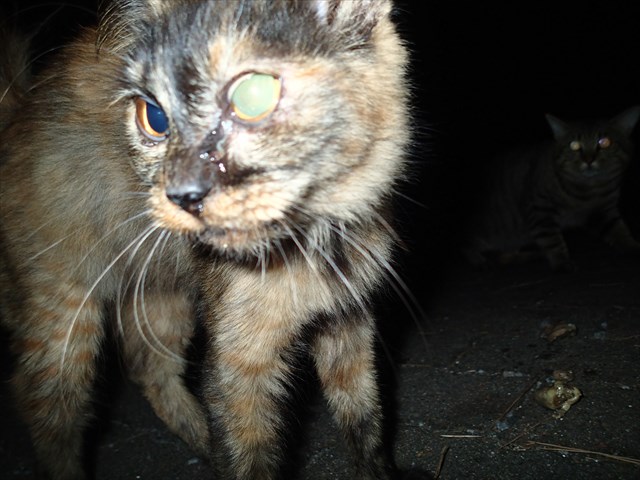 PA050155_R.jpg